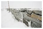 photo_2824