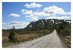 photo_2837