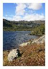 photo_2838