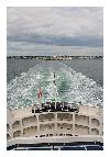 photo_2846
