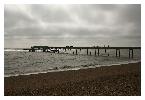 photo_2863
