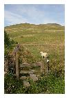 photo_2867