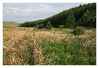 photo_2868