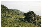 photo_2871