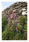 photo_2872