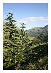 photo_2880