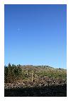 photo_2881