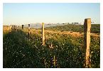 photo_2883