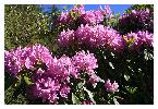 photo_2889