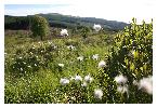 photo_2892
