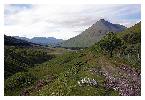 photo_2893