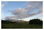 photo_2917