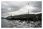 photo_2932