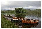 photo_2934