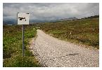 photo_2941