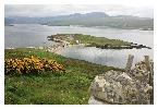 photo_2944