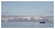 photo_3372