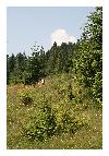 photo_3415